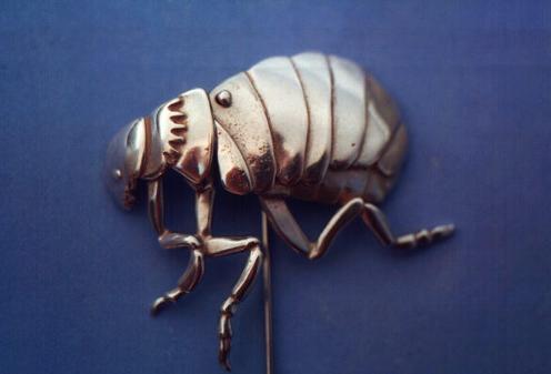 Flea Brooch, Insect Jewelry from Luna Parc